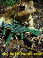 /home//u458753944/public_html/sourcegallery//Roxborough Toad Detour/2021/2021-03-31/P3310141.JPG